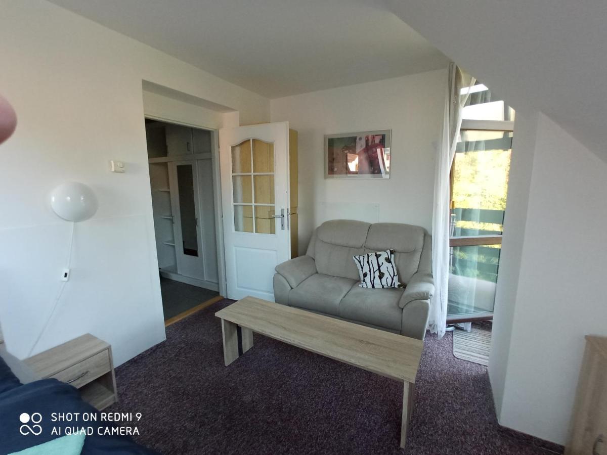 Apartman Violeta Harrachov Buitenkant foto